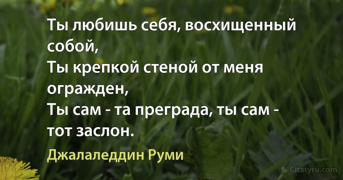 Ты любишь себя, восхищенный собой,
Ты крепкой стеной от меня огражден,
Ты сам - та преграда, ты сам - тот заслон. (Джалаледдин Руми)