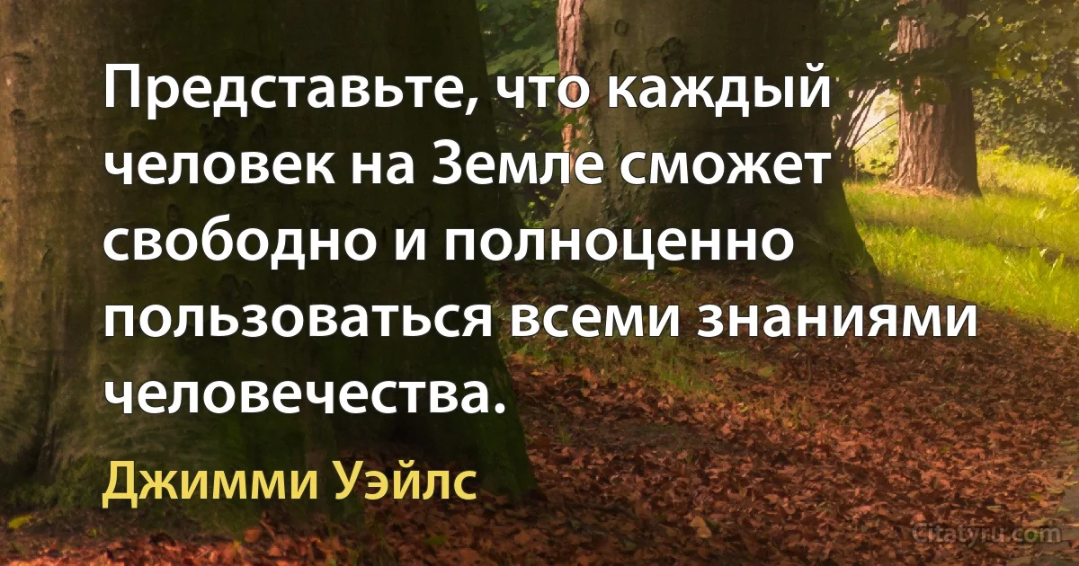 Представьте, что каждый человек на Земле сможет свободно и полноценно пользоваться всеми знаниями человечества. (Джимми Уэйлс)