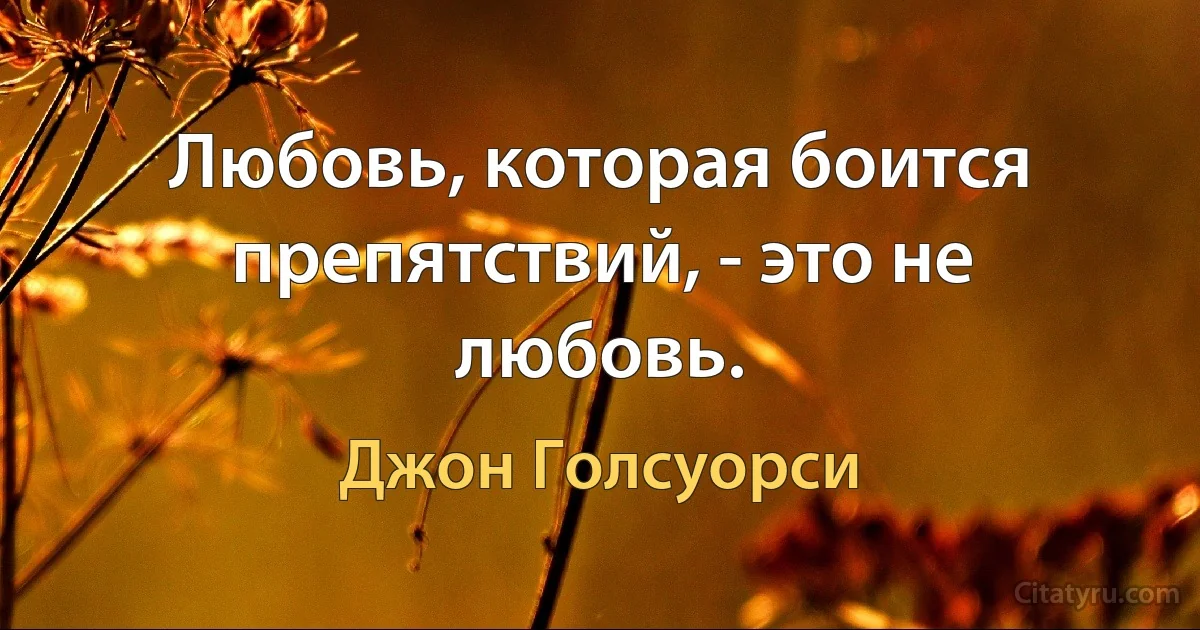 Любовь, которая боится препятствий, - это не любовь. (Джон Голсуорси)