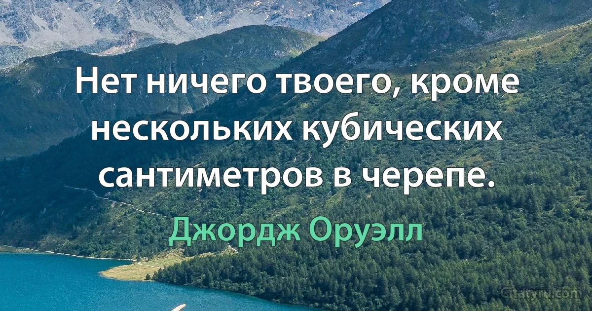 Нет ничего твоего, кроме нескольких кубических сантиметров в черепе. (Джордж Оруэлл)