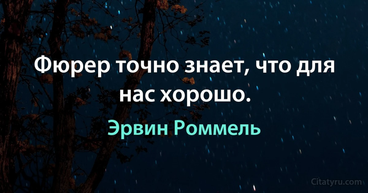 Фюрер точно знает, что для нас хорошо. (Эрвин Роммель)