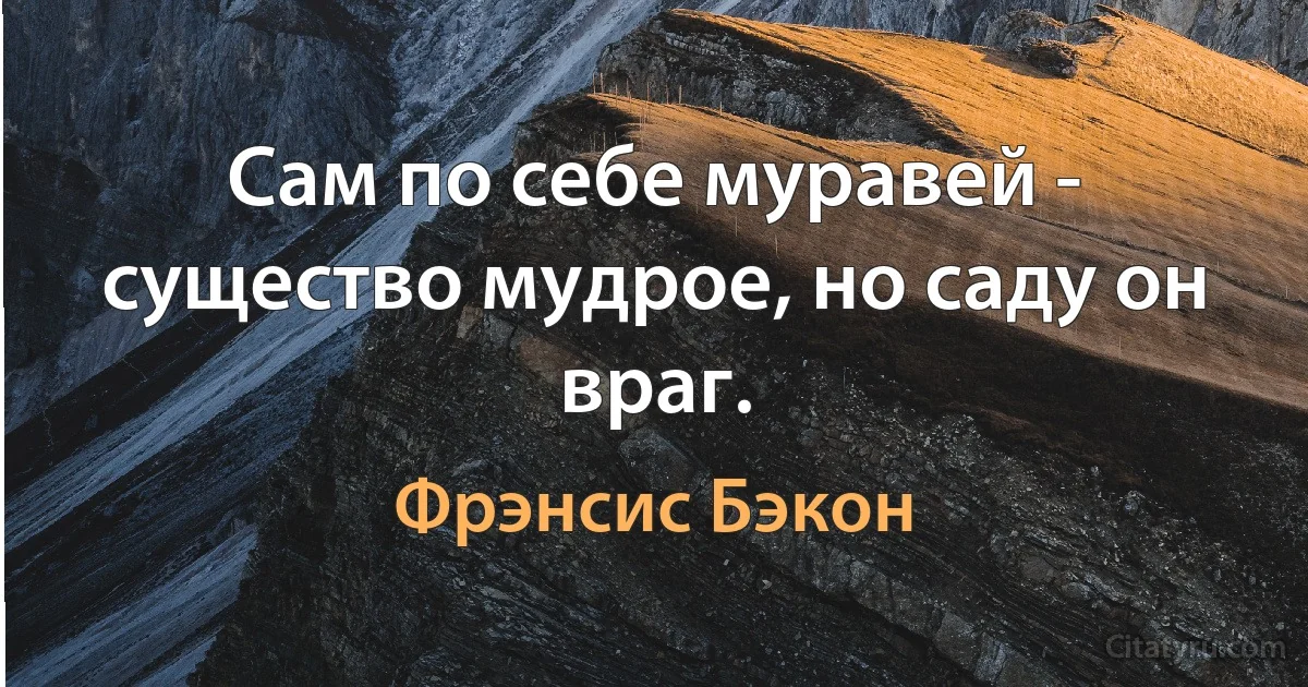 Сам по себе муравей - существо мудрое, но саду он враг. (Фрэнсис Бэкон)