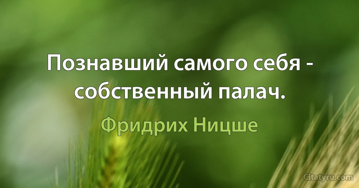 Познавший самого себя - собственный палач. (Фридрих Ницше)