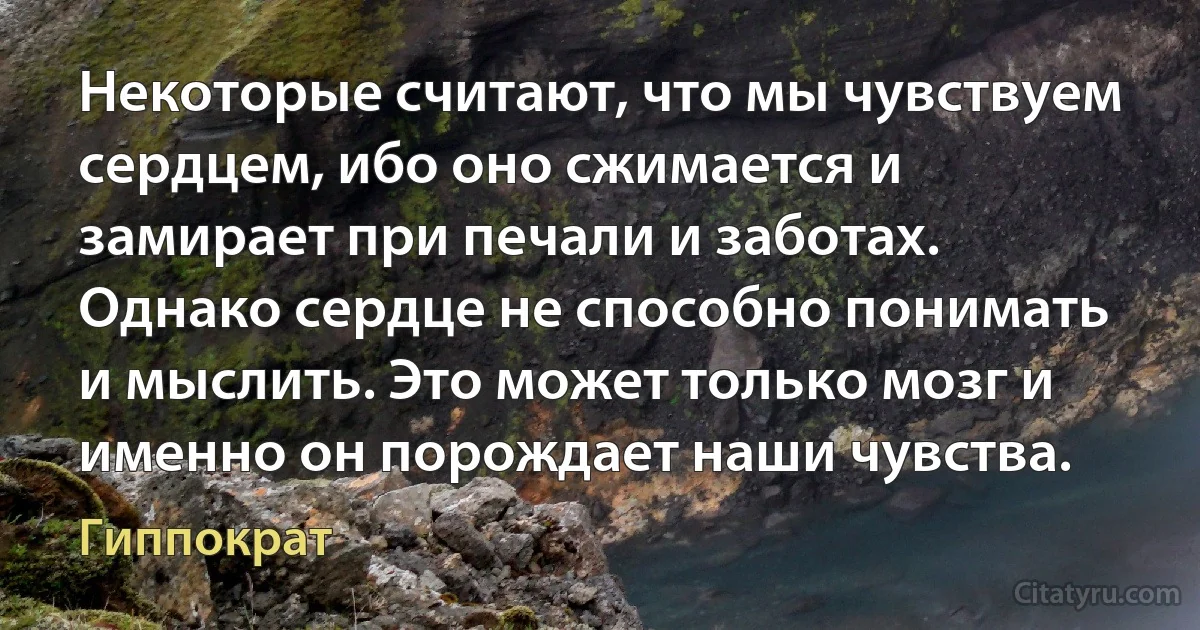 Некоторые считают, что мы чувствуем сердцем, ибо оно сжимается и замирает при печали и заботах. Однако сердце не способно понимать и мыслить. Это может только мозг и именно он порождает наши чувства. (Гиппократ)