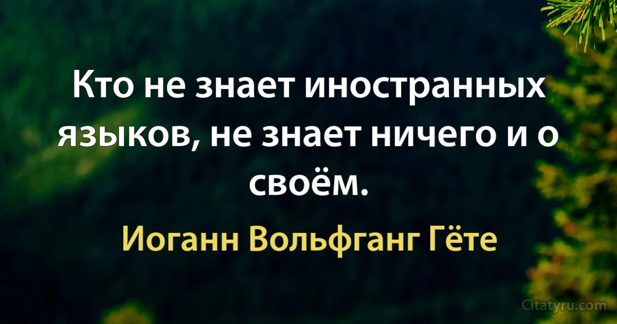 Кто не знает иностранных языков, не знает ничего и о своём. (Иоганн Вольфганг Гёте)