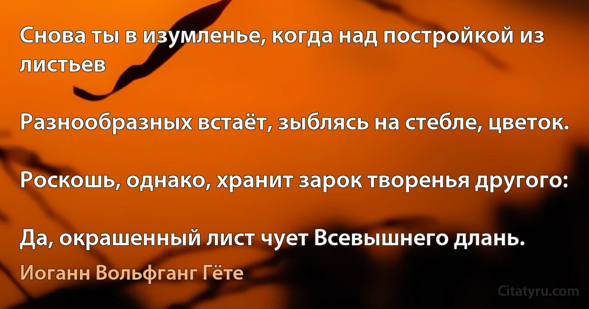 Снова ты в изумленье, когда над постройкой из листьев

Разнообразных встаёт, зыблясь на стебле, цветок.

Роскошь, однако, хранит зарок творенья другого:

Да, окрашенный лист чует Всевышнего длань. (Иоганн Вольфганг Гёте)