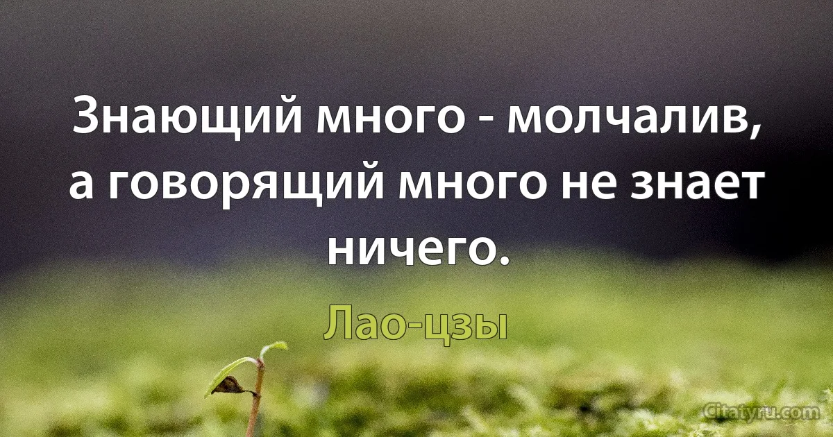 Знающий много - молчалив, а говорящий много не знает ничего. (Лао-цзы)