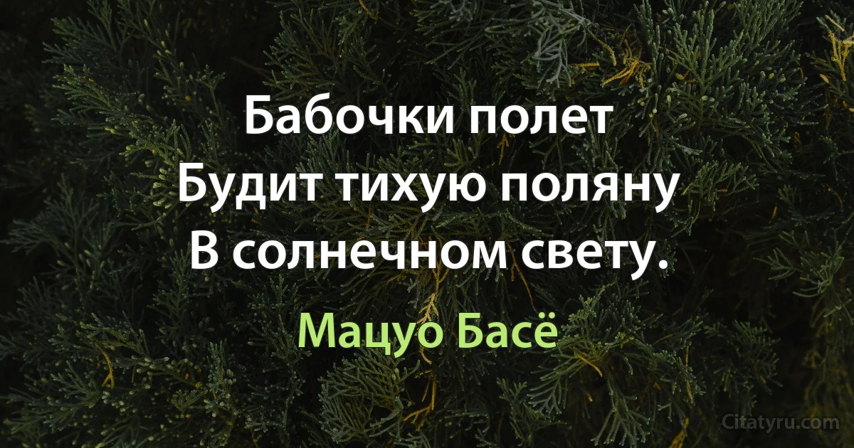 Бабочки полет
Будит тихую поляну
В солнечном свету. (Мацуо Басё)