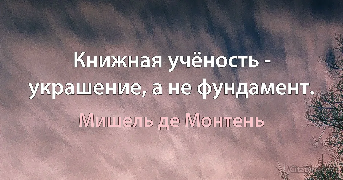 Книжная учёность - украшение, а не фундамент. (Мишель де Монтень)