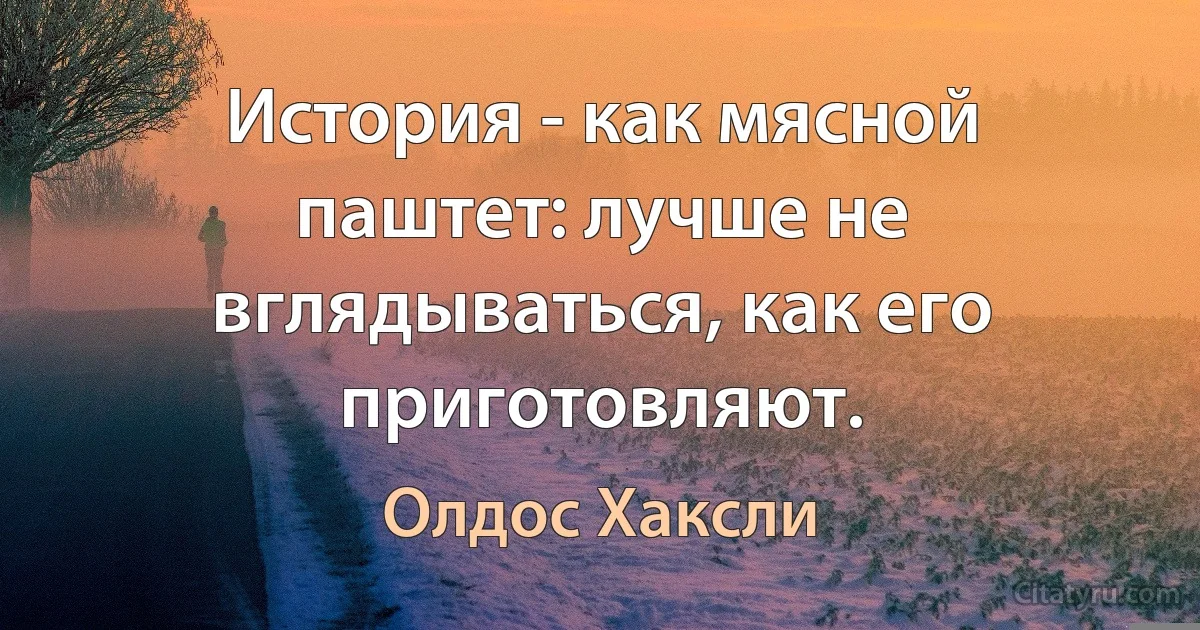 История - как мясной паштет: лучше не вглядываться, как его приготовляют. (Олдос Хаксли)