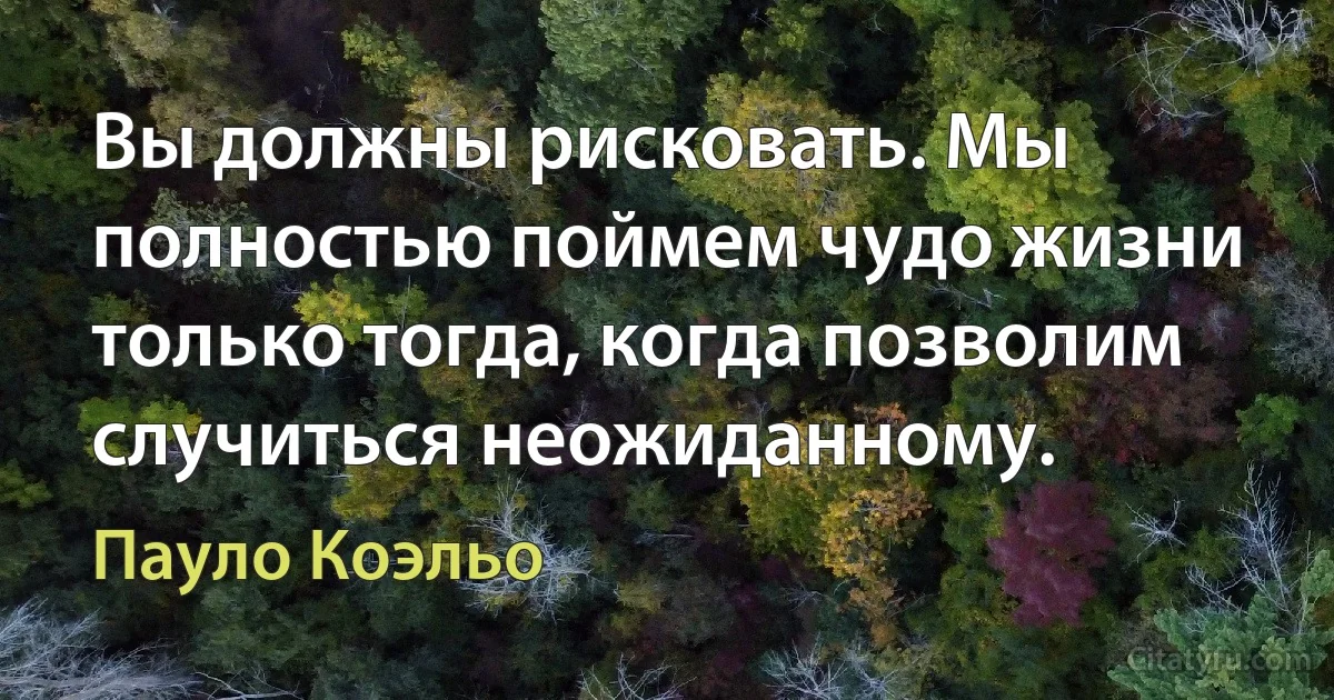 Вы должны рисковать. Мы полностью поймем чудо жизни только тогда, когда позволим случиться неожиданному. (Пауло Коэльо)