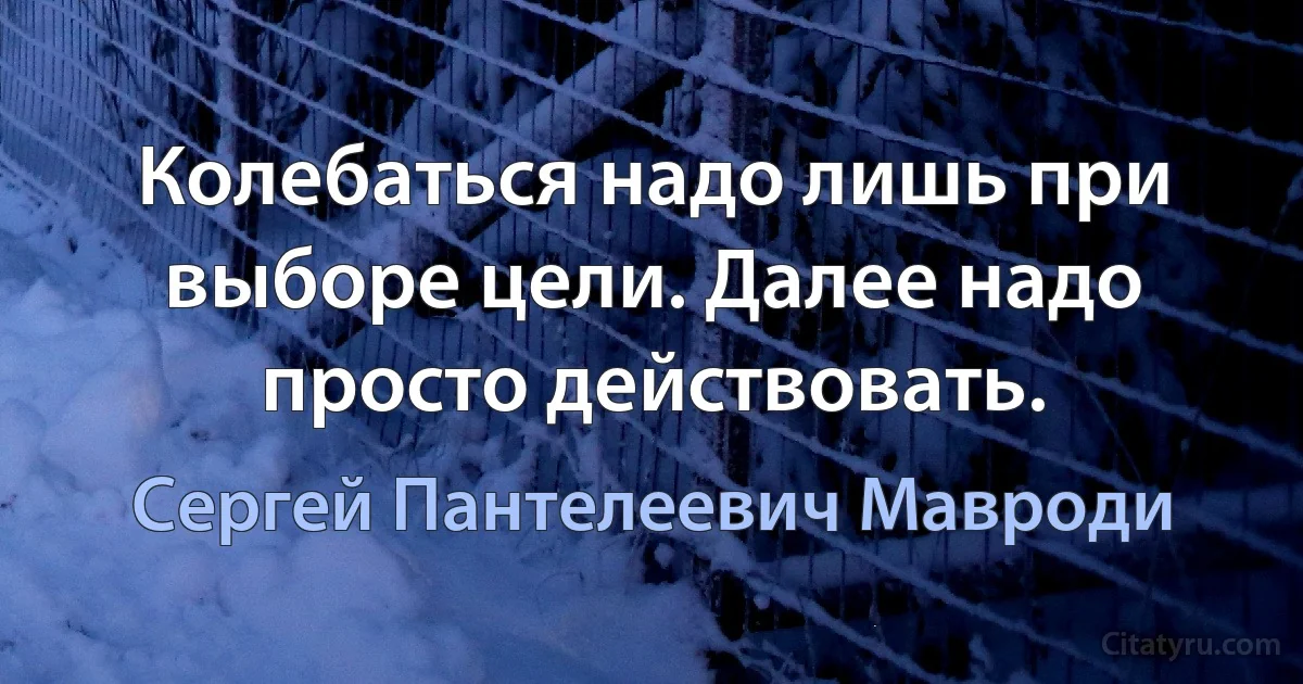 Колебаться надо лишь при выборе цели. Далее надо просто действовать. (Сергей Пантелеевич Мавроди)