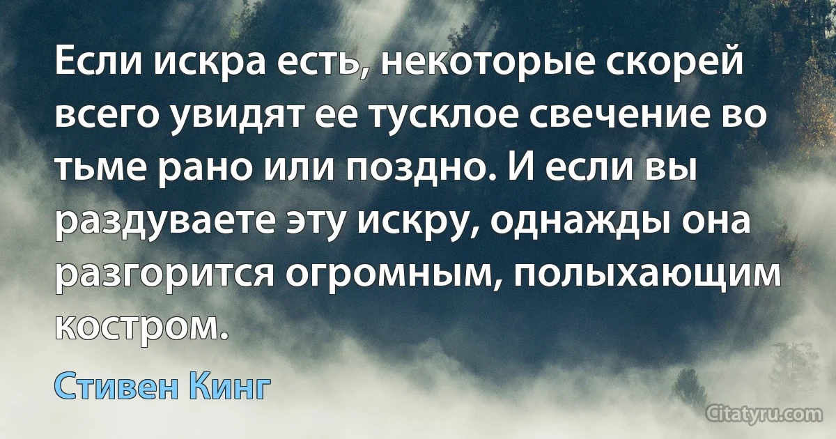 Если искра есть, некоторые скорей всего увидят ее тусклое свечение во тьме рано или поздно. И если вы раздуваете эту искру, однажды она разгорится огромным, полыхающим костром. (Стивен Кинг)