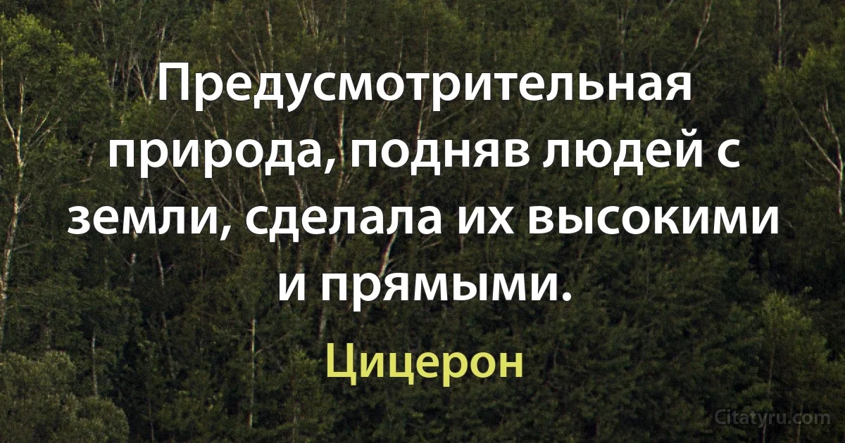 Предусмотрительная природа, подняв людей с земли, сделала их высокими и прямыми. (Цицерон)