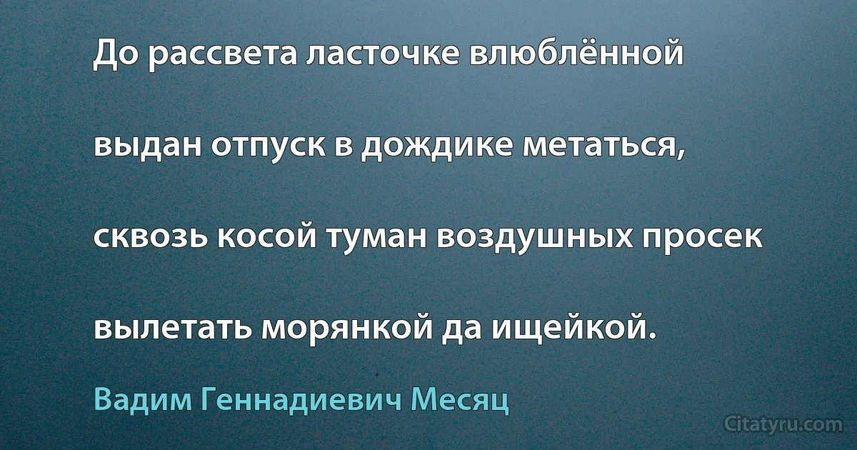 До рассвета ласточке влюблённой

выдан отпуск в дождике метаться,

сквозь косой туман воздушных просек

вылетать морянкой да ищейкой. (Вадим Геннадиевич Месяц)