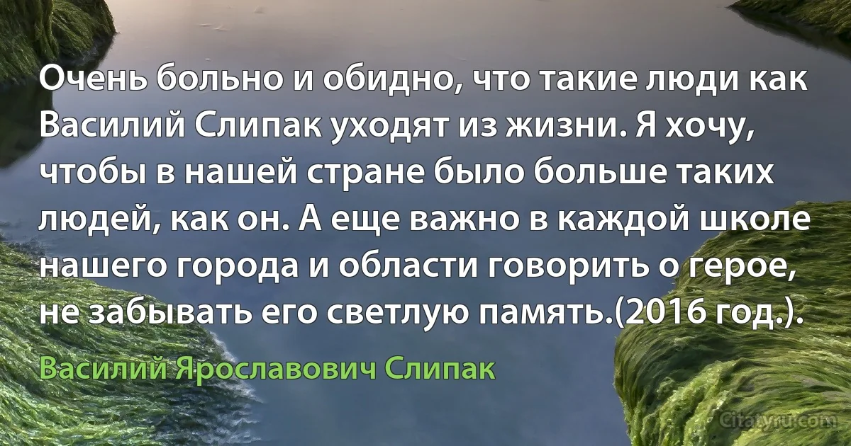 Очень больно и обидно, что такие люди как Василий Слипак уходят из жизни. Я хочу, чтобы в нашей стране было больше таких людей, как он. А еще важно в каждой школе нашего города и области говорить о герое, не забывать его светлую память.(2016 год.). (Василий Ярославович Слипак)