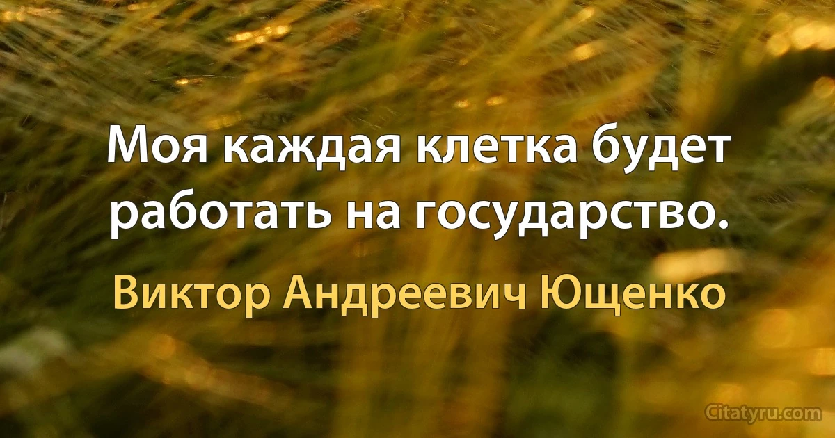 Моя каждая клетка будет работать на государство. (Виктор Андреевич Ющенко)