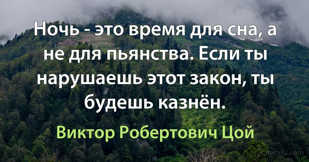 Ночь - это время для сна, а не для пьянства. Если ты нарушаешь этот закон, ты будешь казнён. (Виктор Робертович Цой)