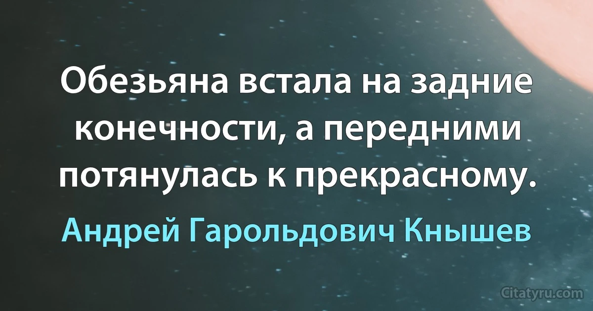 Обезьяна встала на задние конечности, а передними потянулась к прекрасному. (Андрей Гарольдович Кнышев)