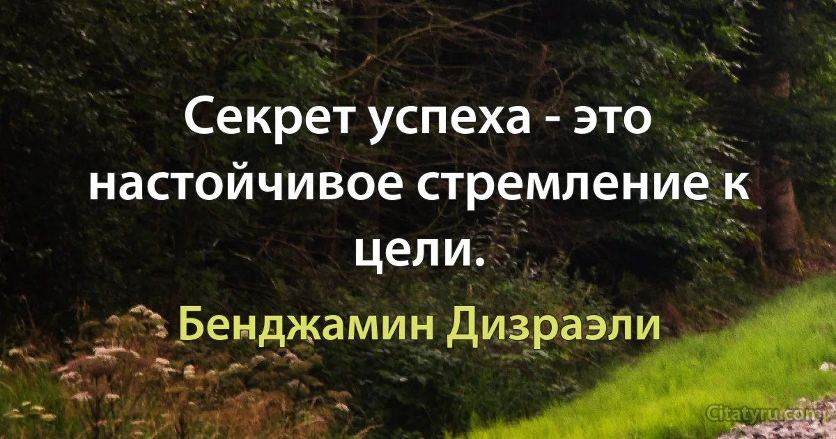 Секрет успеха - это настойчивое стремление к цели. (Бенджамин Дизраэли)