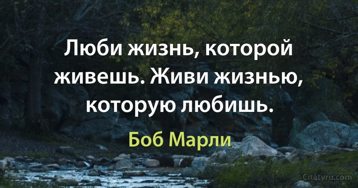 Люби жизнь, которой живешь. Живи жизнью, которую любишь. (Боб Марли)