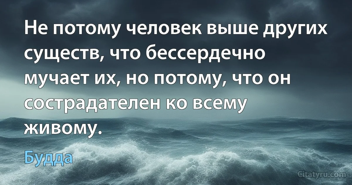 Не потому человек выше других существ, что бессердечно мучает их, но потому, что он сострадателен ко всему живому. (Будда)