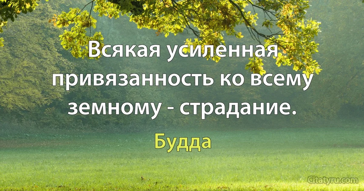 Всякая усиленная привязанность ко всему земному - страдание. (Будда)