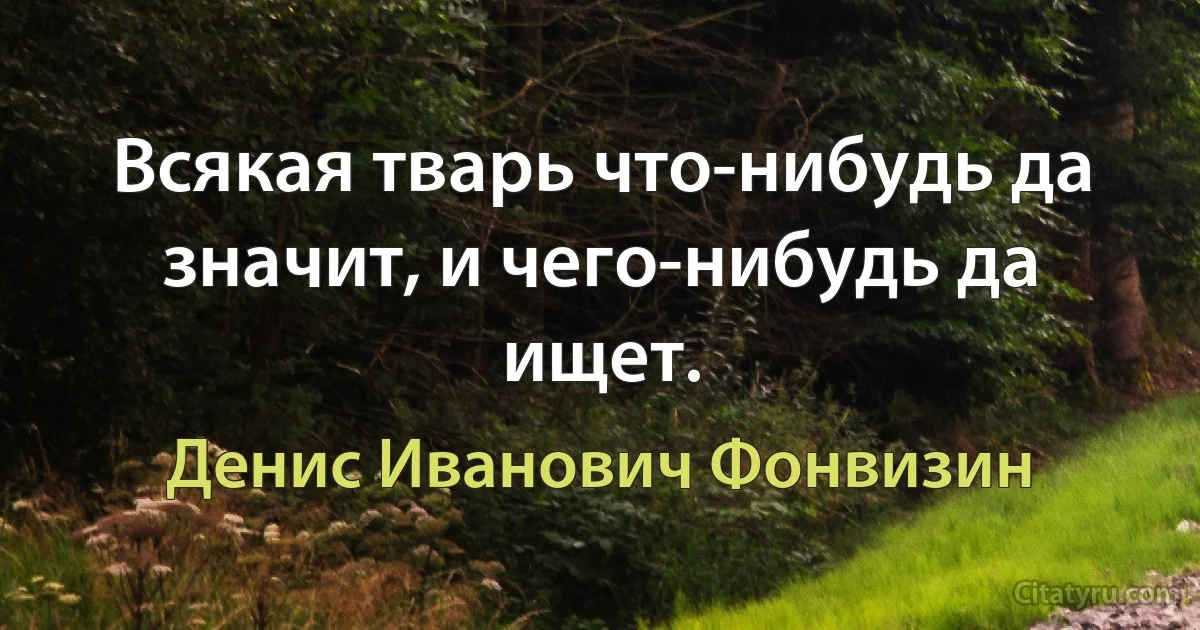 Всякая тварь что-нибудь да значит, и чего-нибудь да ищет. (Денис Иванович Фонвизин)