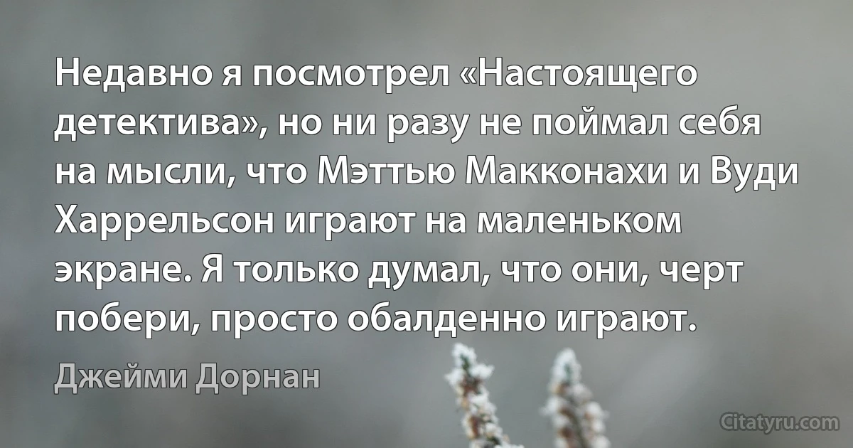 Недавно я посмотрел «Настоящего детектива», но ни разу не поймал себя на мысли, что Мэттью Макконахи и Вуди Харрельсон играют на маленьком экране. Я только думал, что они, черт побери, просто обалденно играют. (Джейми Дорнан)