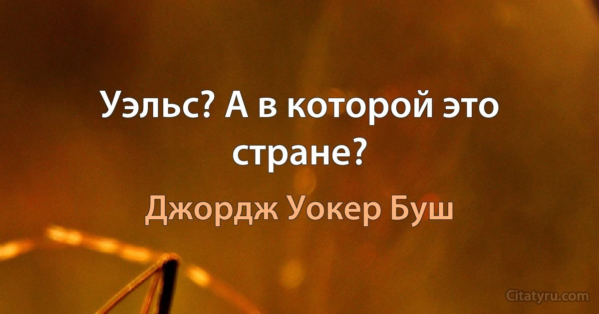 Уэльс? А в которой это стране? (Джордж Уокер Буш)