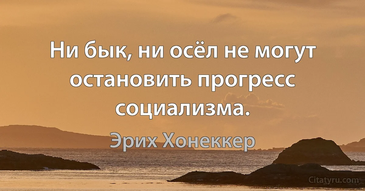 Ни бык, ни осёл не могут остановить прогресс социализма. (Эрих Хонеккер)