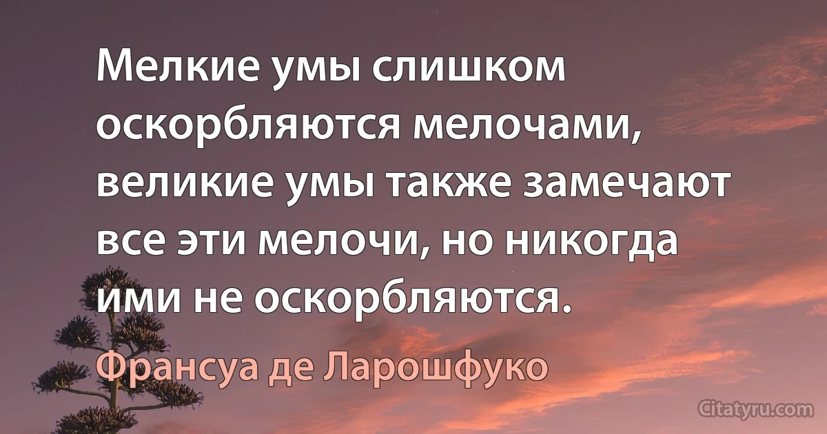 Мелкие умы слишком оскорбляются мелочами, великие умы также замечают все эти мелочи, но никогда ими не оскорбляются. (Франсуа де Ларошфуко)