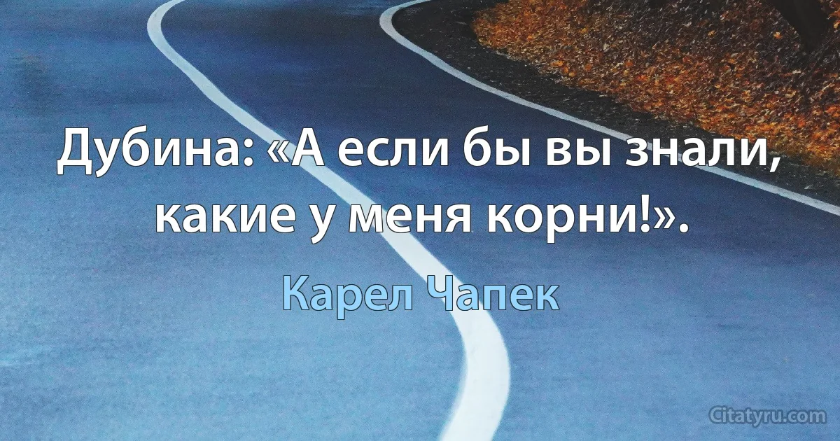 Дубина: «А если бы вы знали, какие у меня корни!». (Карел Чапек)