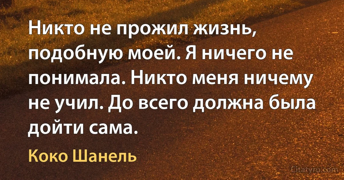 Никто не прожил жизнь, подобную моей. Я ничего не понимала. Никто меня ничему не учил. До всего должна была дойти сама. (Коко Шанель)