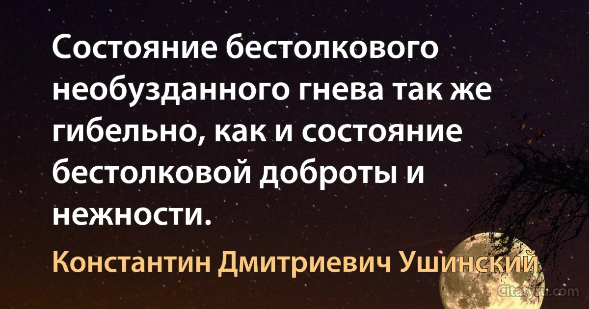 Состояние бестолкового необузданного гнева так же гибельно, как и состояние бестолковой доброты и нежности. (Константин Дмитриевич Ушинский)