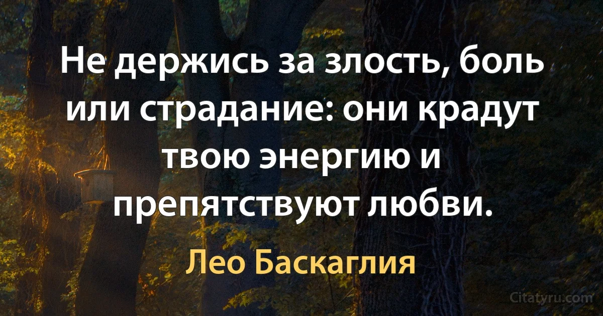 Не держись за злость, боль или страдание: они крадут твою энергию и препятствуют любви. (Лео Баскаглия)