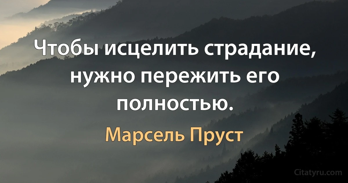 Чтобы исцелить страдание, нужно пережить его полностью. (Марсель Пруст)