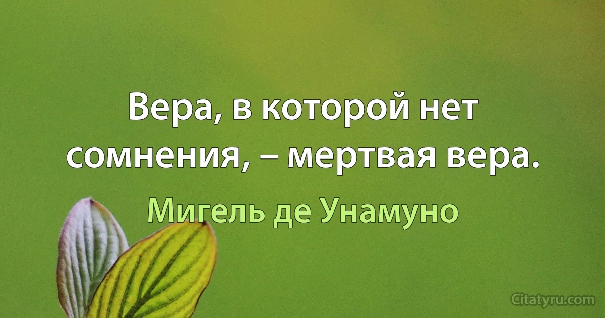 Вера, в которой нет сомнения, – мертвая вера. (Мигель де Унамуно)