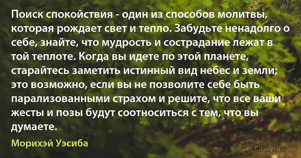 Поиск спокойствия - один из способов молитвы, которая рождает свет и тепло. Забудьте ненадолго о себе, знайте, что мудрость и сострадание лежат в той теплоте. Когда вы идете по этой планете, старайтесь заметить истинный вид небес и земли; это возможно, если вы не позволите себе быть парализованными страхом и решите, что все ваши жесты и позы будут соотноситься с тем, что вы думаете. (Морихэй Уэсиба)