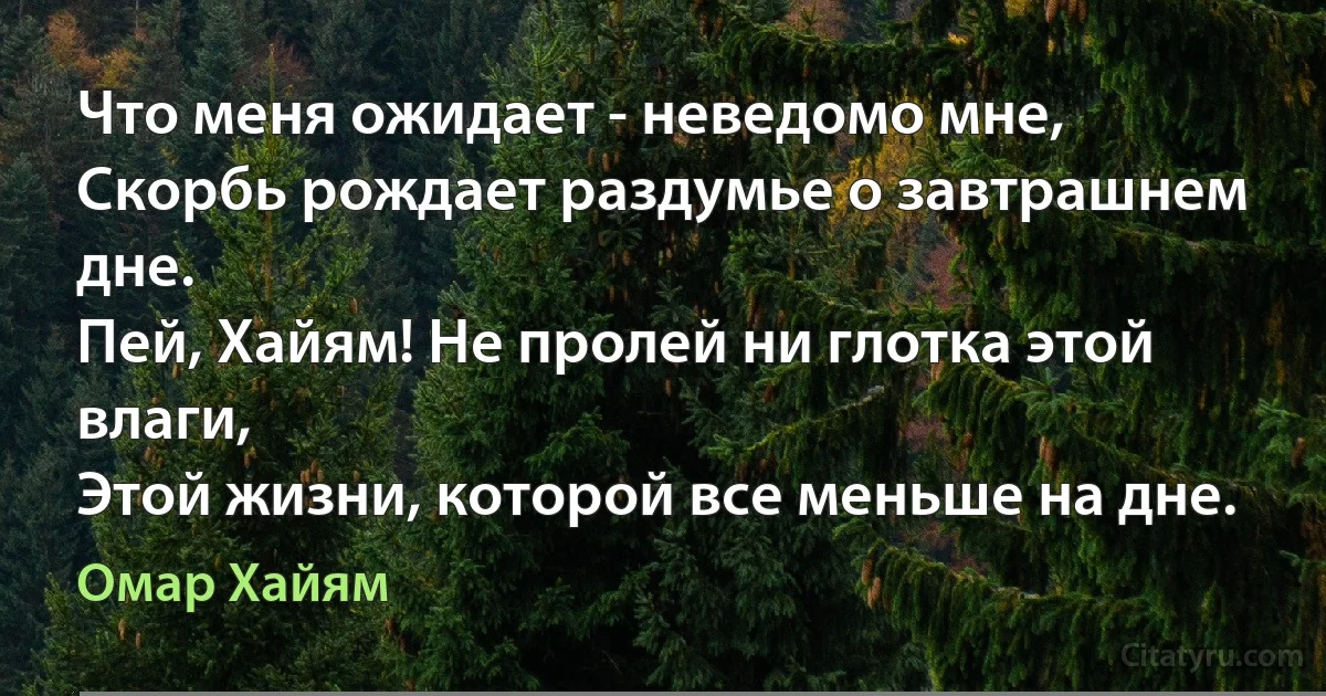 Что меня ожидает - неведомо мне,
Скорбь рождает раздумье о завтрашнем дне.
Пей, Хайям! Не пролей ни глотка этой влаги,
Этой жизни, которой все меньше на дне. (Омар Хайям)