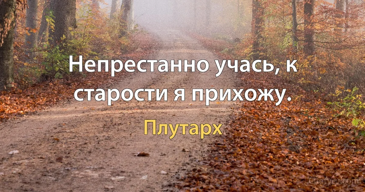 Непрестанно учась, к старости я прихожу. (Плутарх)