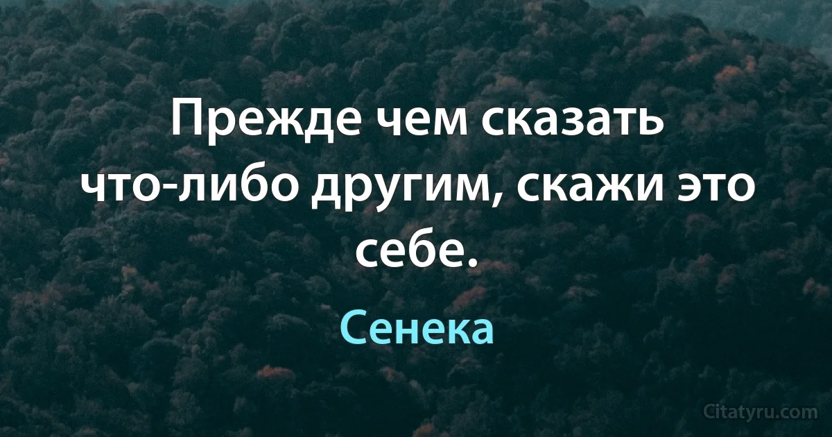 Прежде чем сказать что-либо другим, скажи это себе. (Сенека)