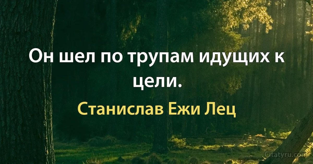 Он шел по трупам идущих к цели. (Станислав Ежи Лец)