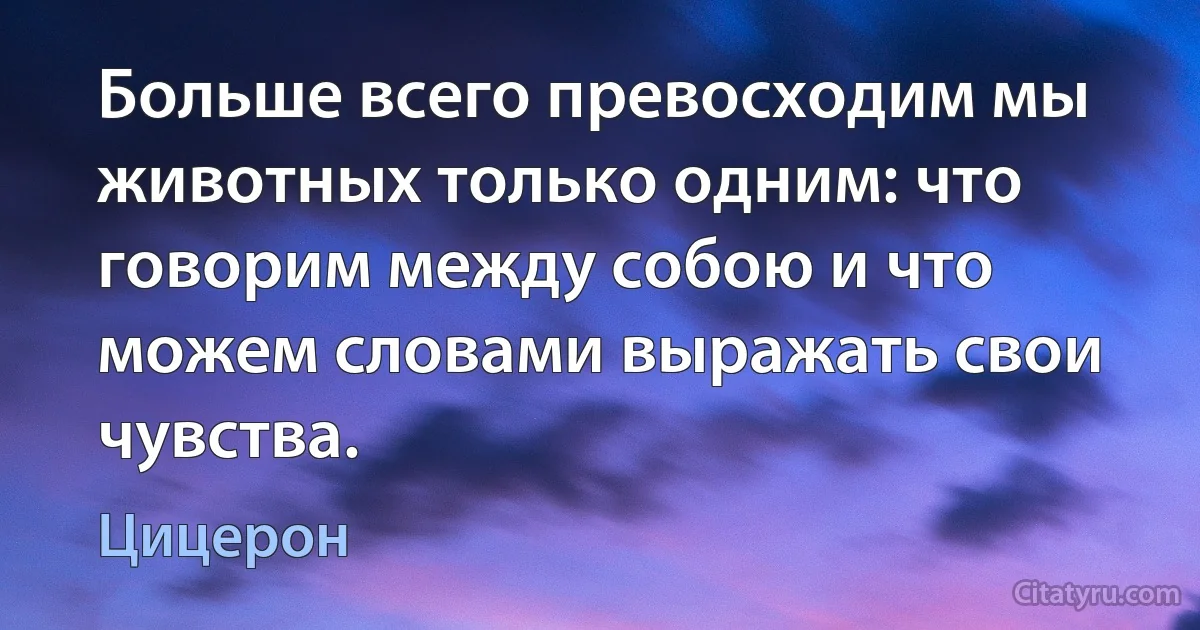 Больше всего превосходим мы животных только одним: что говорим между собою и что можем словами выражать свои чувства. (Цицерон)