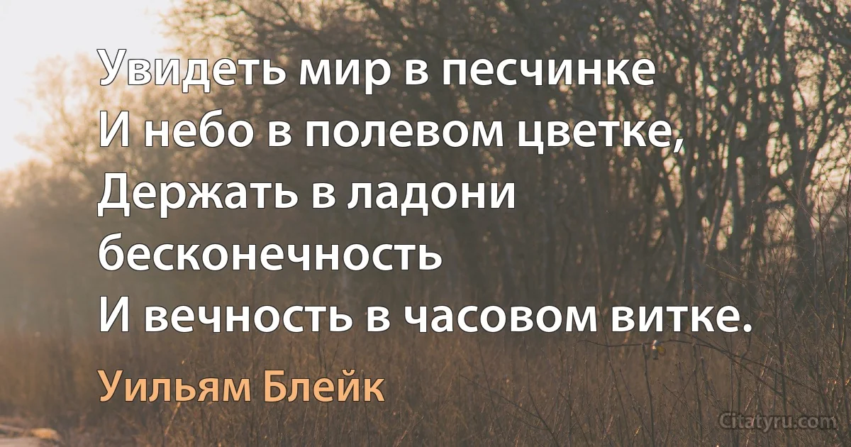 Увидеть мир в песчинке
И небо в полевом цветке,
Держать в ладони бесконечность
И вечность в часовом витке. (Уильям Блейк)