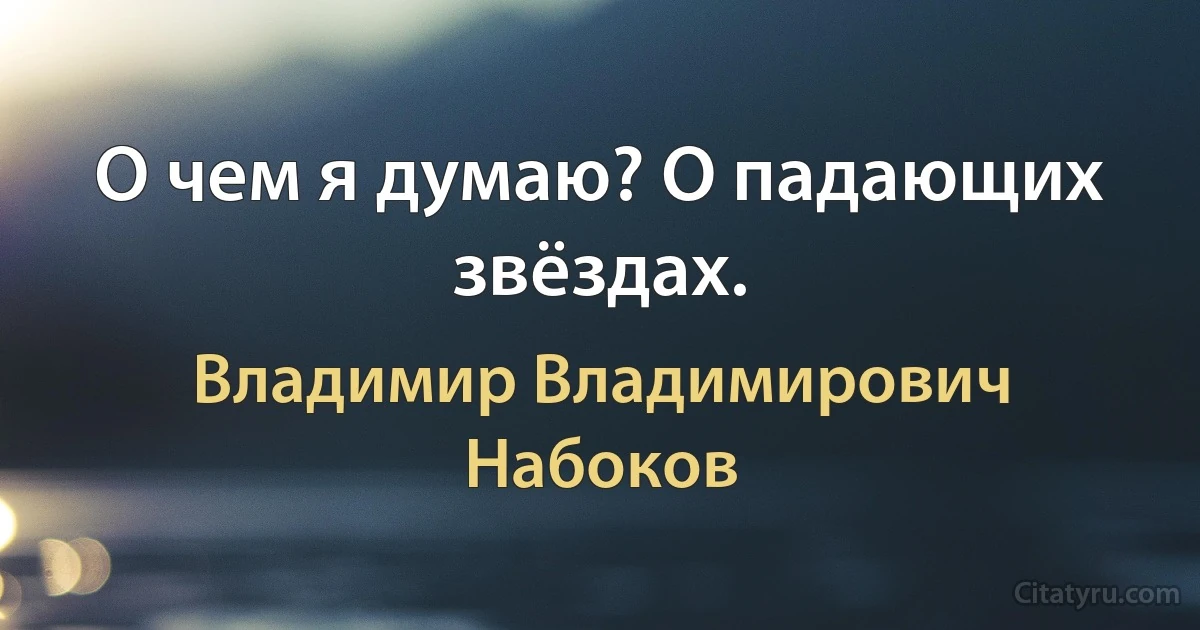 О чем я думаю? О падающих звёздах. (Владимир Владимирович Набоков)