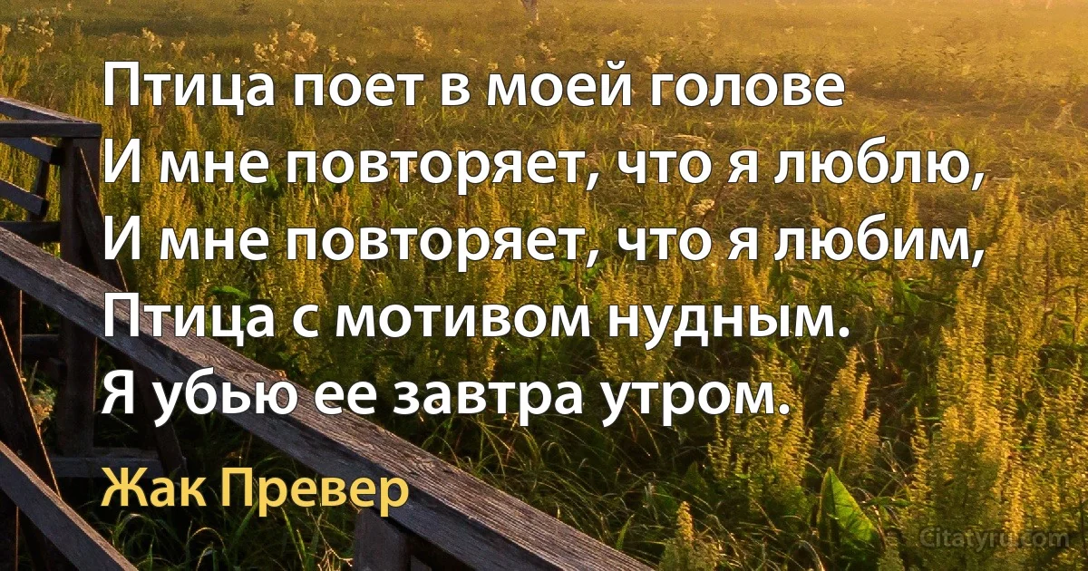 Птица поет в моей голове
И мне повторяет, что я люблю,
И мне повторяет, что я любим,
Птица с мотивом нудным.
Я убью ее завтра утром. (Жак Превер)