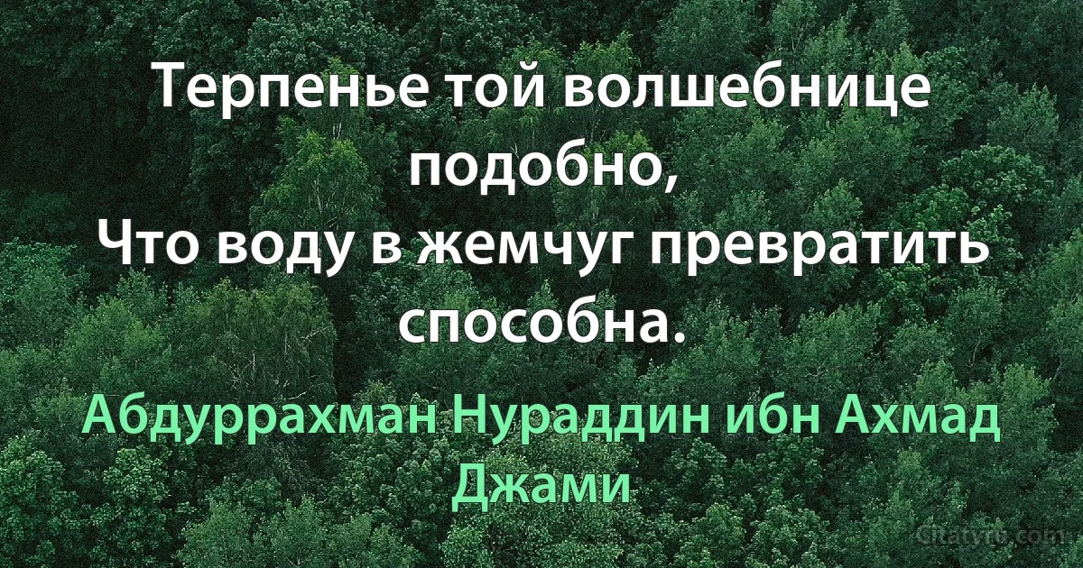 Терпенье той волшебнице подобно,
Что воду в жемчуг превратить способна. (Абдуррахман Нураддин ибн Ахмад Джами)