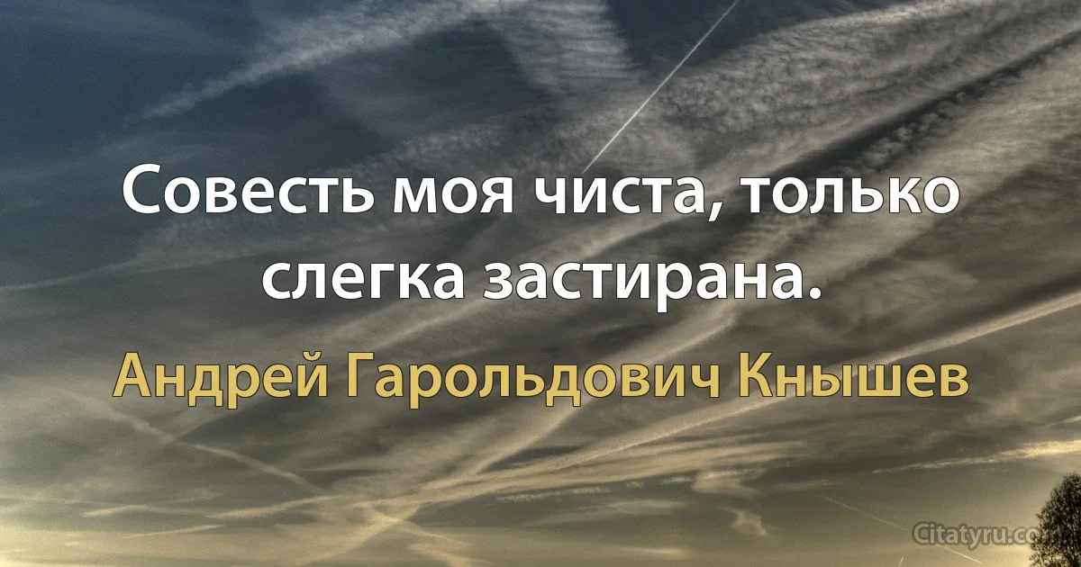 Совесть моя чиста, только слегка застирана. (Андрей Гарольдович Кнышев)