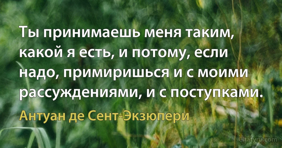 Ты принимаешь меня таким, какой я есть, и потому, если надо, примиришься и с моими рассуждениями, и с поступками. (Антуан де Сент-Экзюпери)